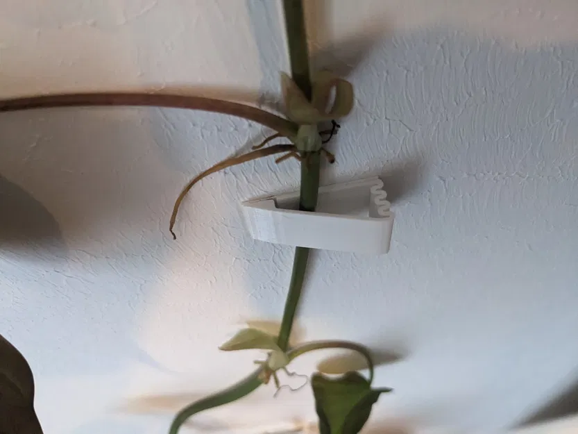 Người giữ tường - Image 1