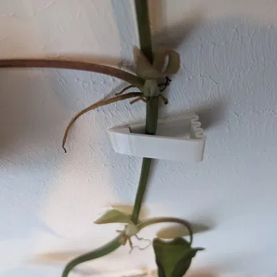 Người giữ tường