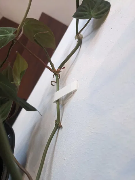 Người giữ tường - Image 2