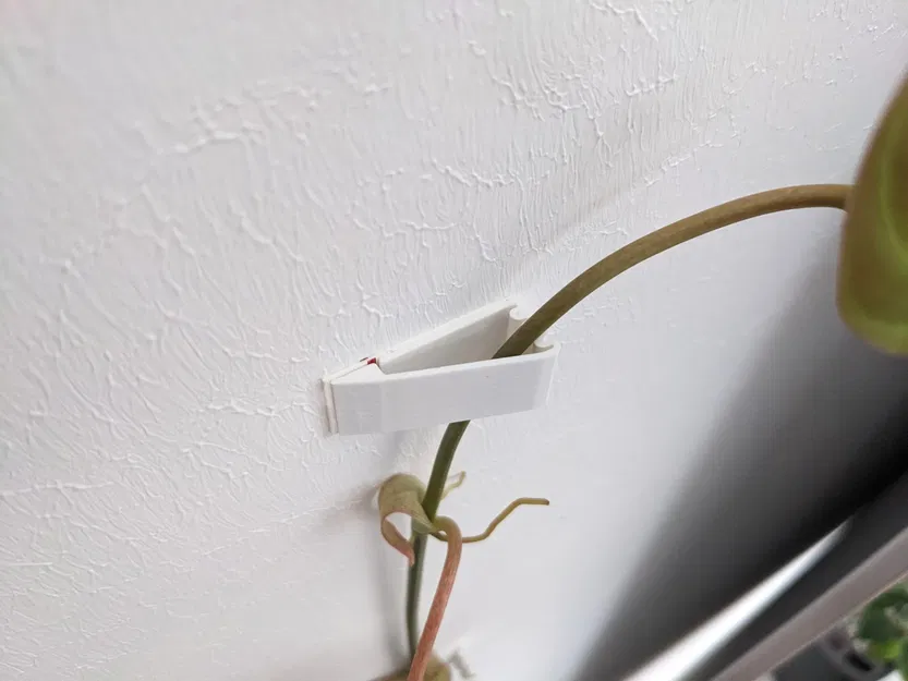 Người giữ tường - Image 3