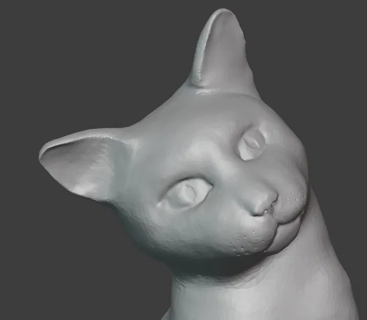 Ngồi mèo tò mò - Image 2