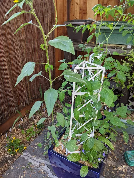 Giàn hình tam giác được tham số hóa để leo cây (hoặc sử dụng thú vị khác) - Image 1