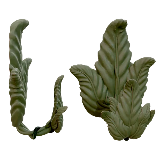 Vine lá móc cho dải lệnh - Image 1