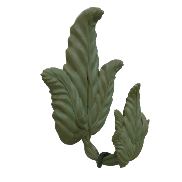 Vine lá móc cho dải lệnh - Image 2