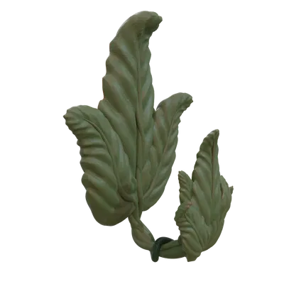 Vine lá móc cho dải lệnh