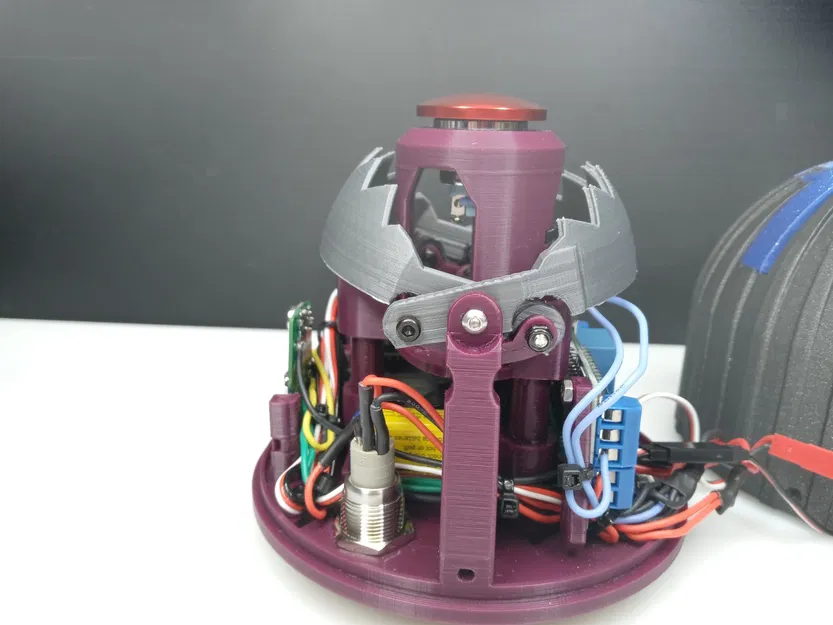 Nút gấu bẫy - Image 4