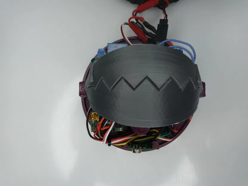 Nút gấu bẫy - Image 6