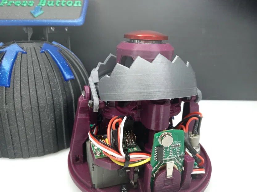 Nút gấu bẫy - Image 7