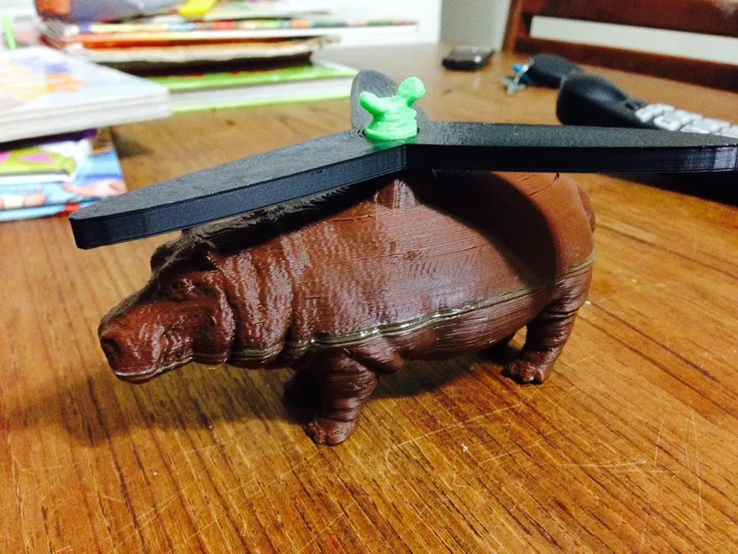 Hạt hải mã - Image 4