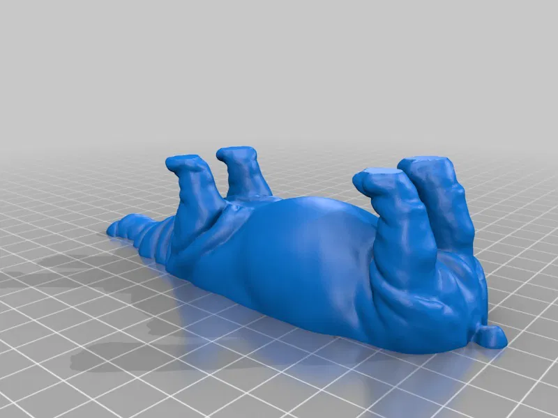 Hạt hải mã - Image 6