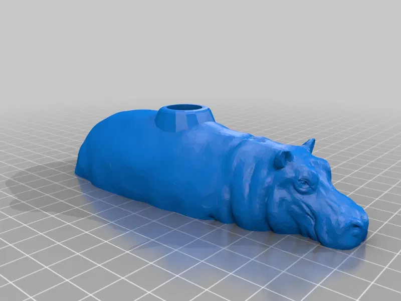 Hạt hải mã - Image 7