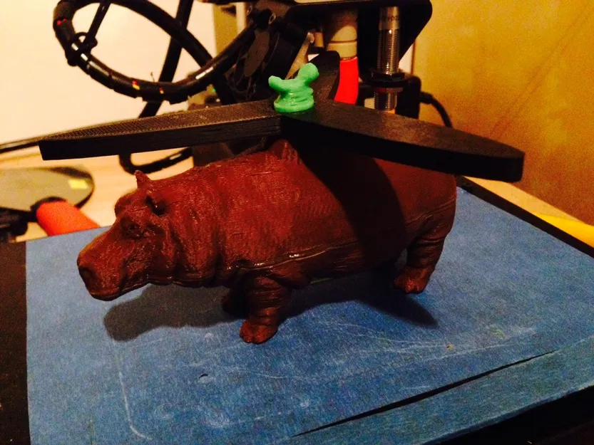 Hạt hải mã - Image 9