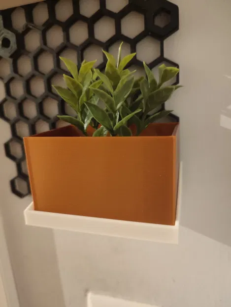 Bình cho kệ - Image 3