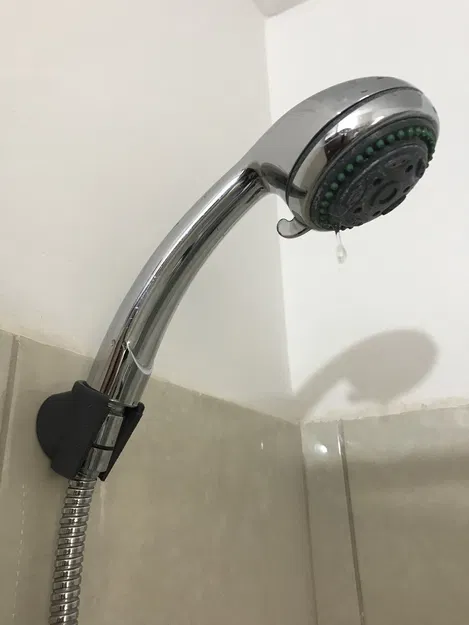 Người giữ vòi hoa sen - Image 2