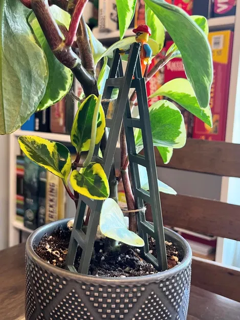 Lồng leo núi - Image 1