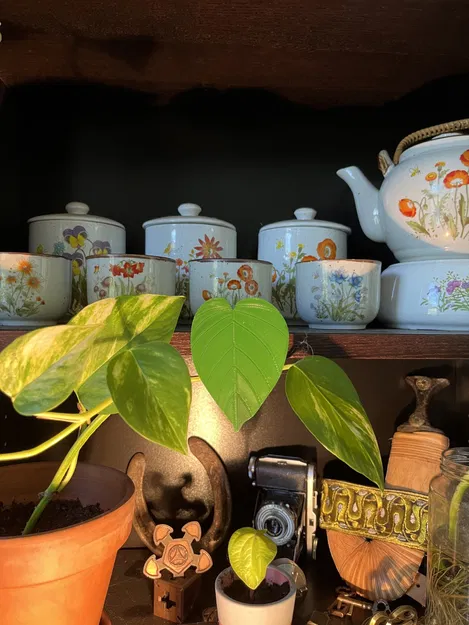 Clip thực vật "pothos" cho tủ sách Billy (IKEA) - 20 mm - Image 1