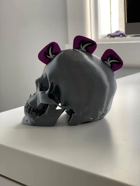 Người giữ guitar - Skull - Image 3