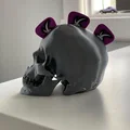 Người giữ guitar - Skull - Thumbnail 3