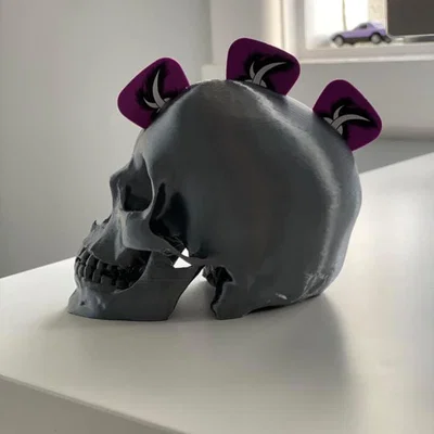 Người giữ guitar - Skull