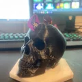 Người giữ guitar - Skull - Thumbnail 4