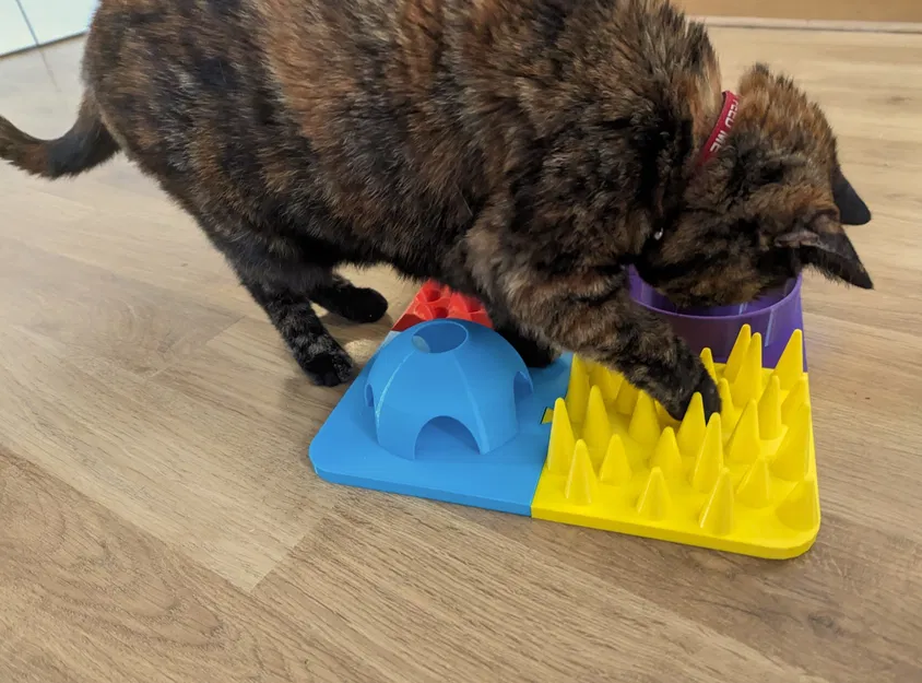 Bộ nạp câu đố làm giàu mèo mô -đun - Image 10