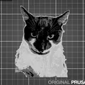 MICHAL THE CAT (HUEFORGE) - Thumbnail 1