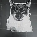 MICHAL THE CAT (HUEFORGE) - Thumbnail 2