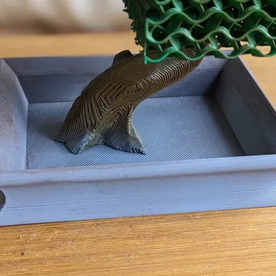 Bình bonsai cũ trơn