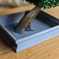 Bình bonsai cũ trơn - Thumbnail 2