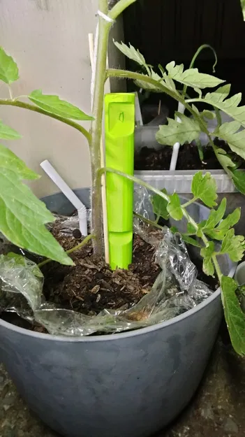 Hỗ trợ thực vật - Image 1