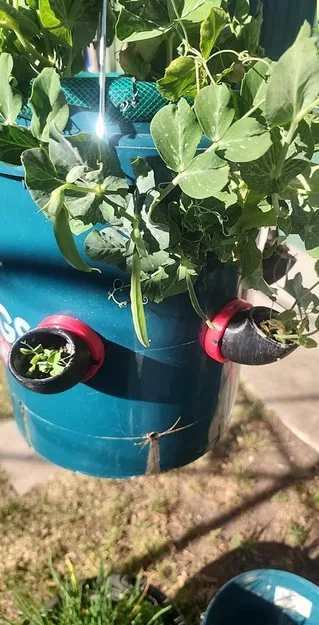 Làm vườn xô - Image 5