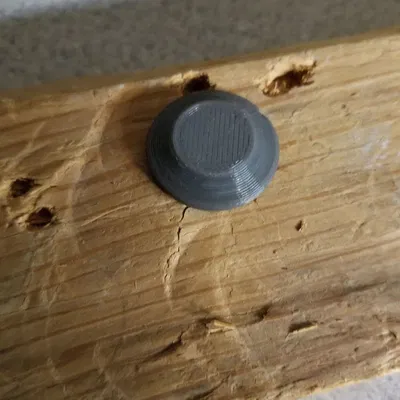 Nắp hoặc nắp vít số 8