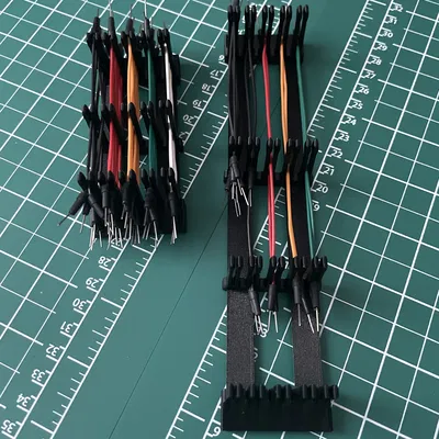 Người tổ chức dây nhảy