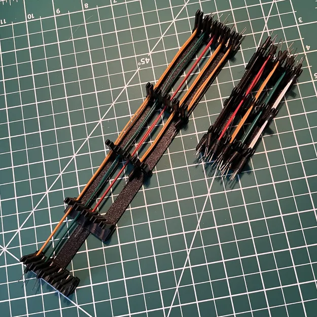 Người tổ chức dây nhảy - Image 2