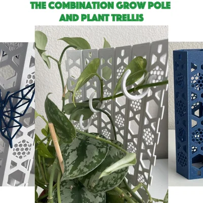 Folding Grow Cực/Trellis Trellis
