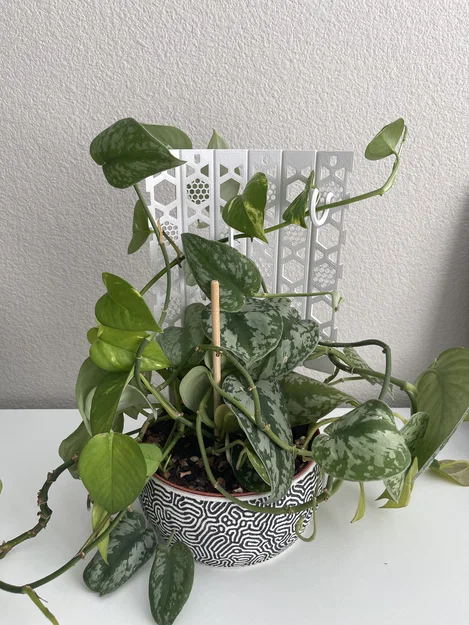Folding Grow Cực/Trellis Trellis - Image 2