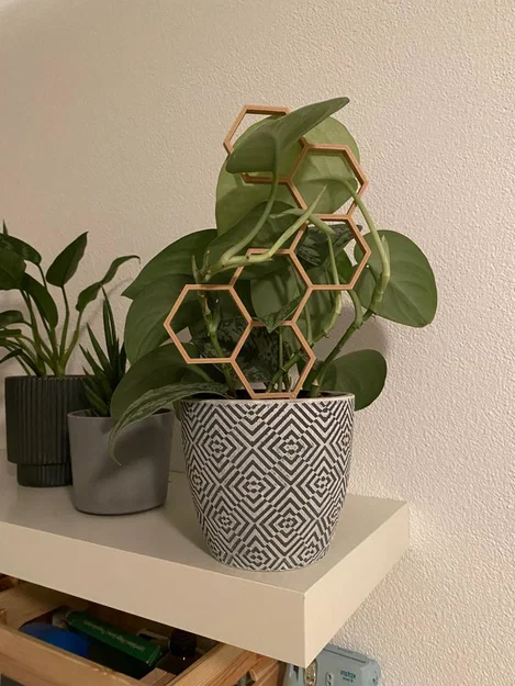 Nhiều hỗ trợ thực vật/Trellis/Hexagon/tổ ong V2 - Image 1