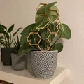 Nhiều hỗ trợ thực vật/Trellis/Hexagon/tổ ong V2 - Thumbnail 1