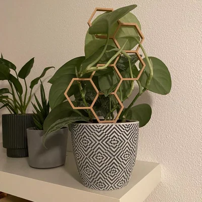 Nhiều hỗ trợ thực vật/Trellis/Hexagon/tổ ong V2