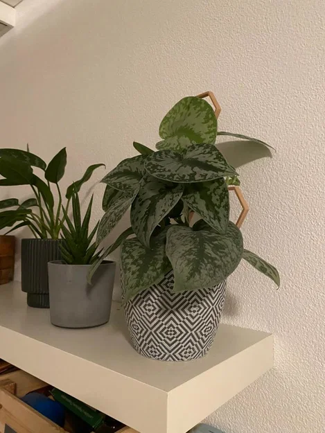 Nhiều hỗ trợ thực vật/Trellis/Hexagon/tổ ong V2 - Image 2