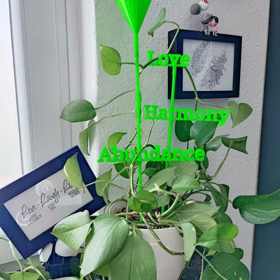 Tăng trưởng năng lượng Rankhilfe