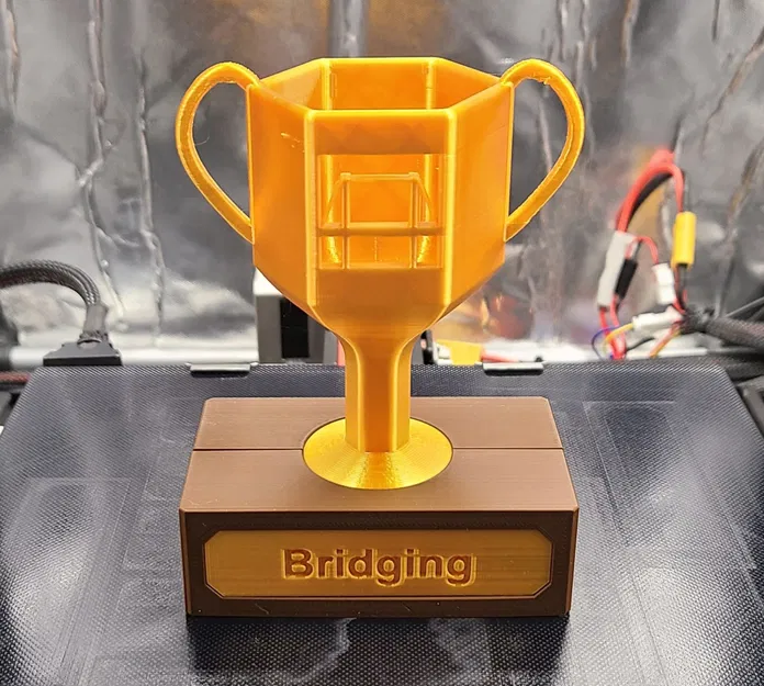 Cúp in 3D: Cầu nối - Image 1