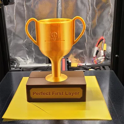 Cúp in 3D: Lớp đầu tiên hoàn hảo