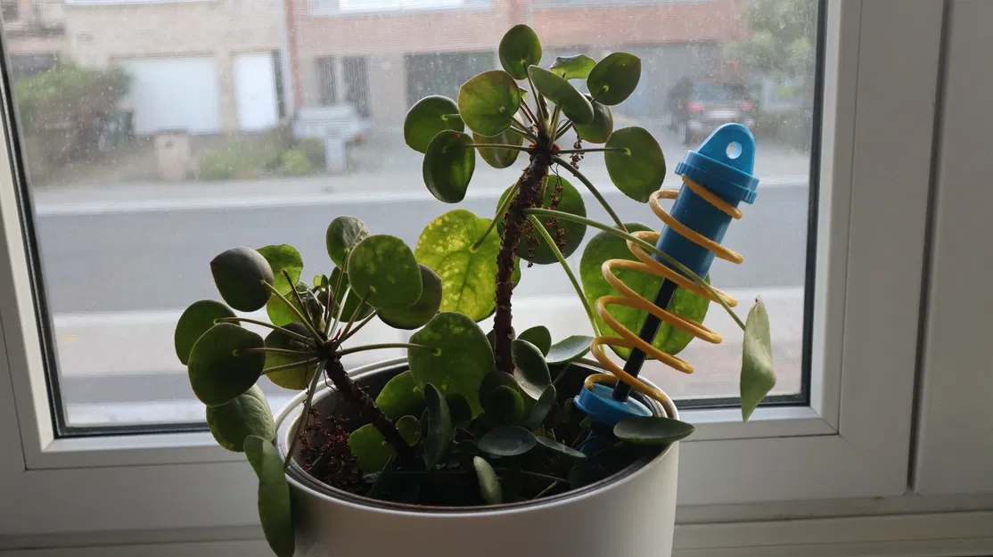 Sốc hấp thụ cây leo thực vật - Image 3