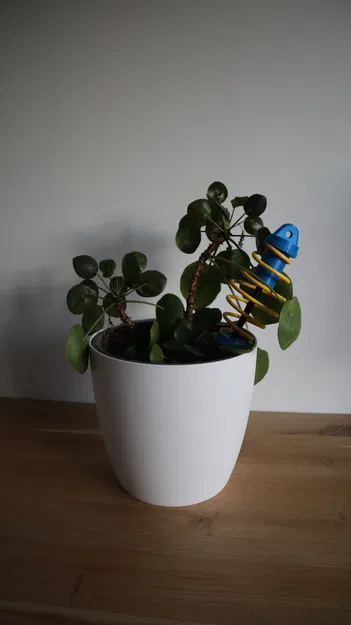 Sốc hấp thụ cây leo thực vật - Image 4