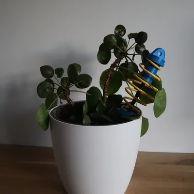 Sốc hấp thụ cây leo thực vật