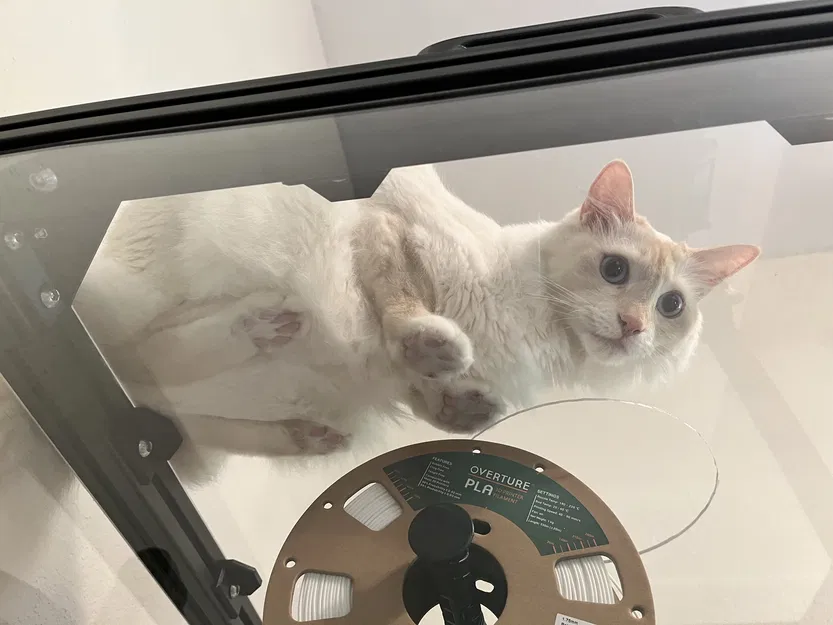 Một bao vây prusa không có nguồn gốc - Image 26