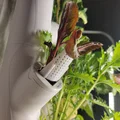 Người ủng hộ nhà máy hóa đơn - Thủy văn (phù hợp với Gardyn, rau diếp phát triển, Iharvest và các khu vườn thẳng đứng tương tự) - Thumbnail 1