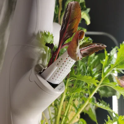 Người ủng hộ nhà máy hóa đơn - Thủy văn (phù hợp với Gardyn, rau diếp phát triển, Iharvest và các khu vườn thẳng đứng tương tự)