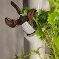 Người ủng hộ nhà máy hóa đơn - Thủy văn (phù hợp với Gardyn, rau diếp phát triển, Iharvest và các khu vườn thẳng đứng tương tự) - Thumbnail 2